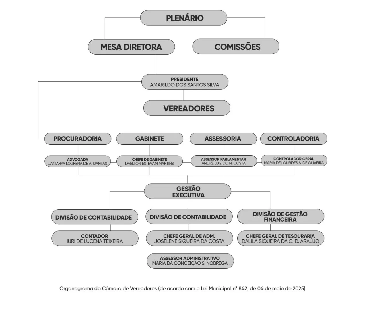 ORGANOGRAMA